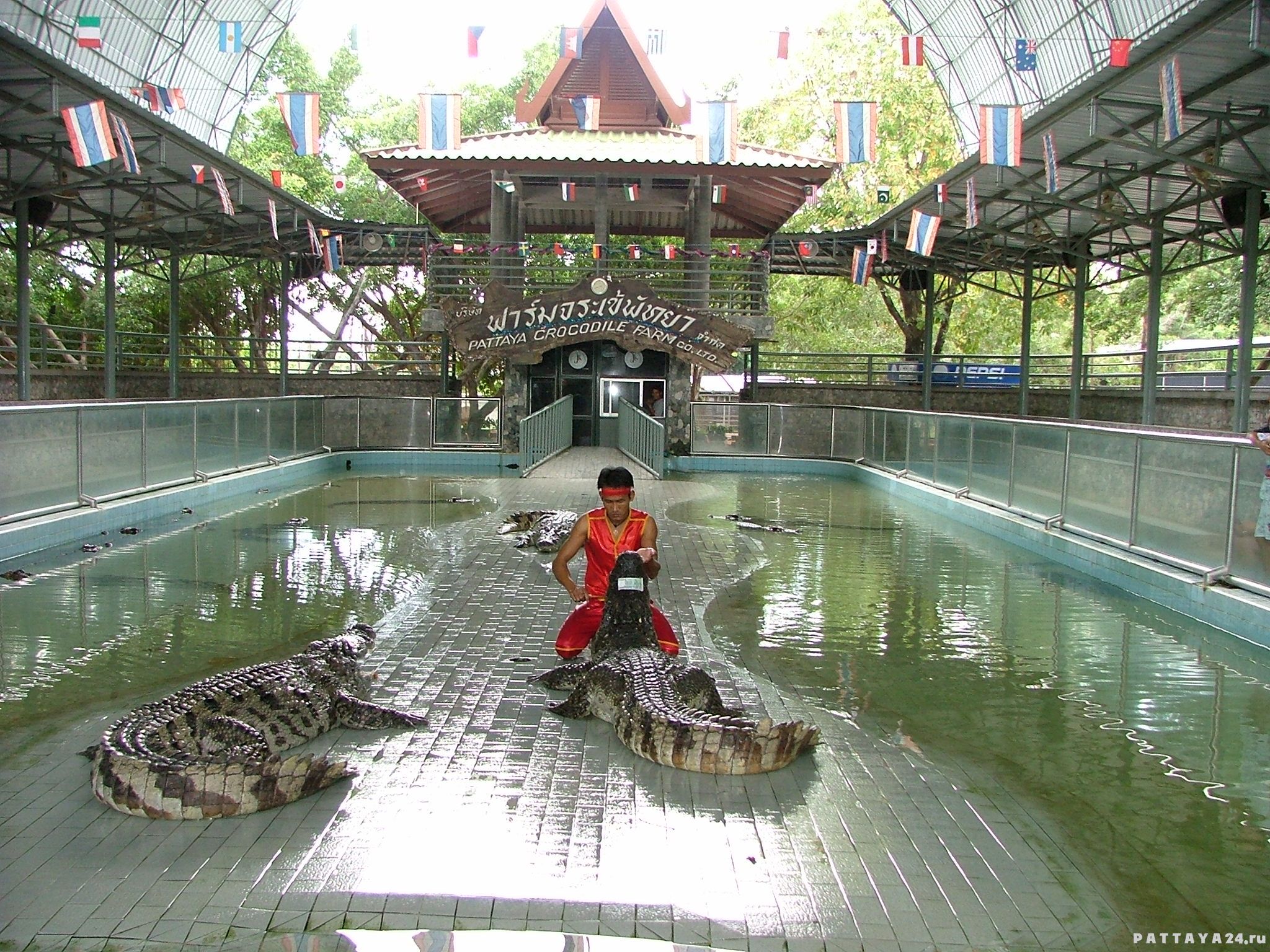 Крокодиловая ферма на Пхукете